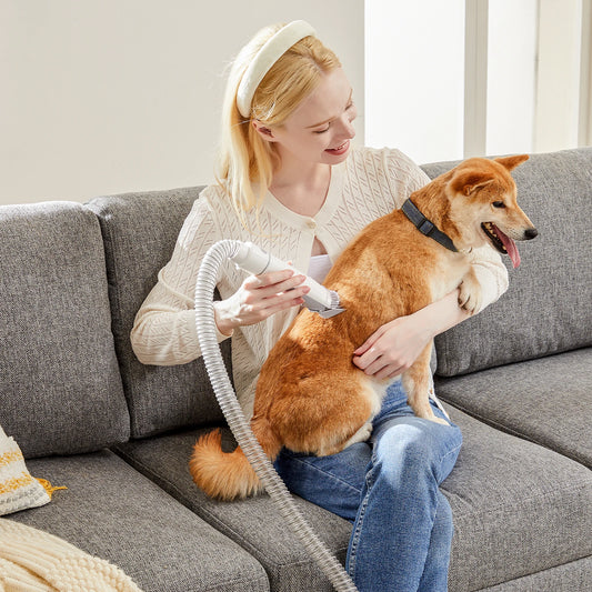 Professional Pet Grooming Vacuum Kit With Cordless Low Noise Clippers For Cats