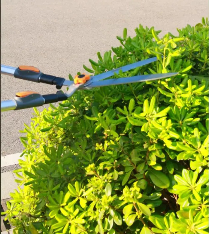 Extendable Shrub Shears Heavy Duty Pruning Shears For Gardening