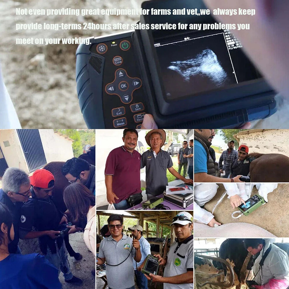 DAWEI Portable Veterinary Ultrasound Scanner For Pregnancy 3.5MHz Convex Probe
