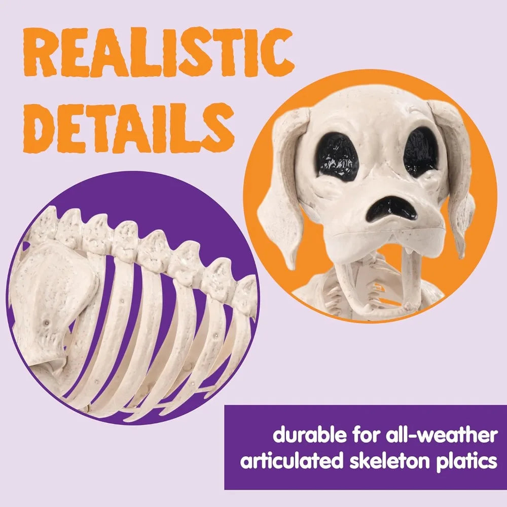 Posable Full Body Dog Skeleton Halloween Graveyard Party Decor