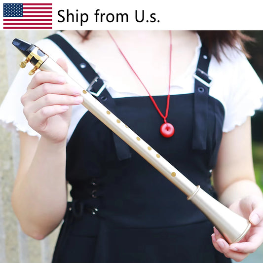 IRIN MI-03 Eb Key Mini Clarinet Saxophone Woodwind Instrument for Beginners