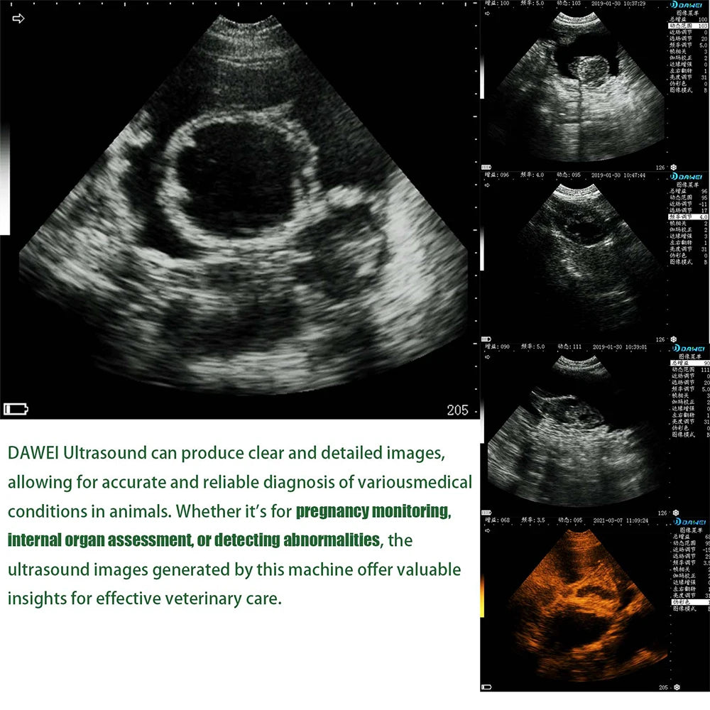 DAWEI Portable Veterinary Ultrasound Scanner For Pregnancy 3.5MHz Convex Probe